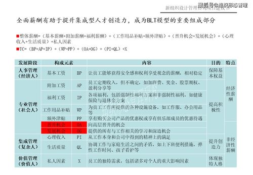 新組織設計管理咨詢項目建議書 項目策劃與公關服務